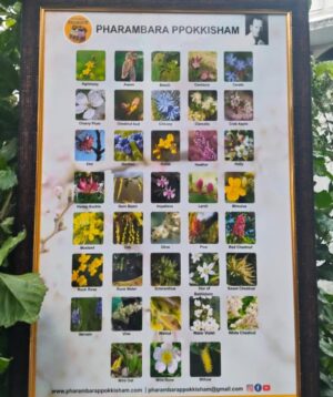 Edward Bach Healing 38 Flowers