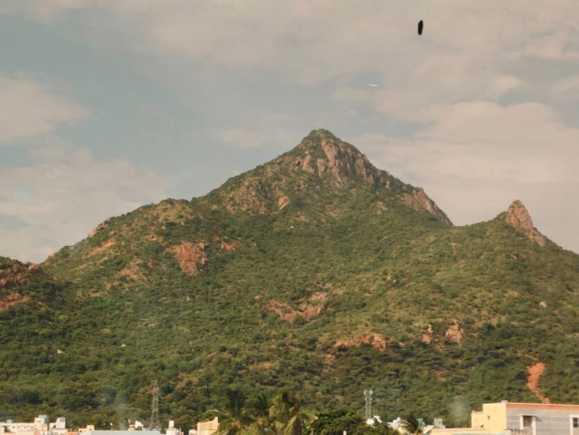 WhatsApp Image 2025-10-23 at 13.14.37 copy