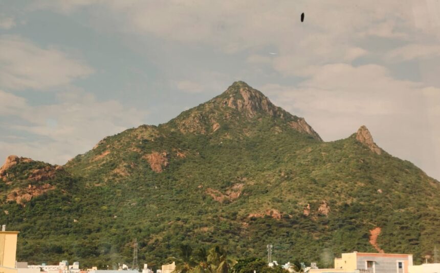 WhatsApp Image 2025-10-23 at 13.14.37 copy