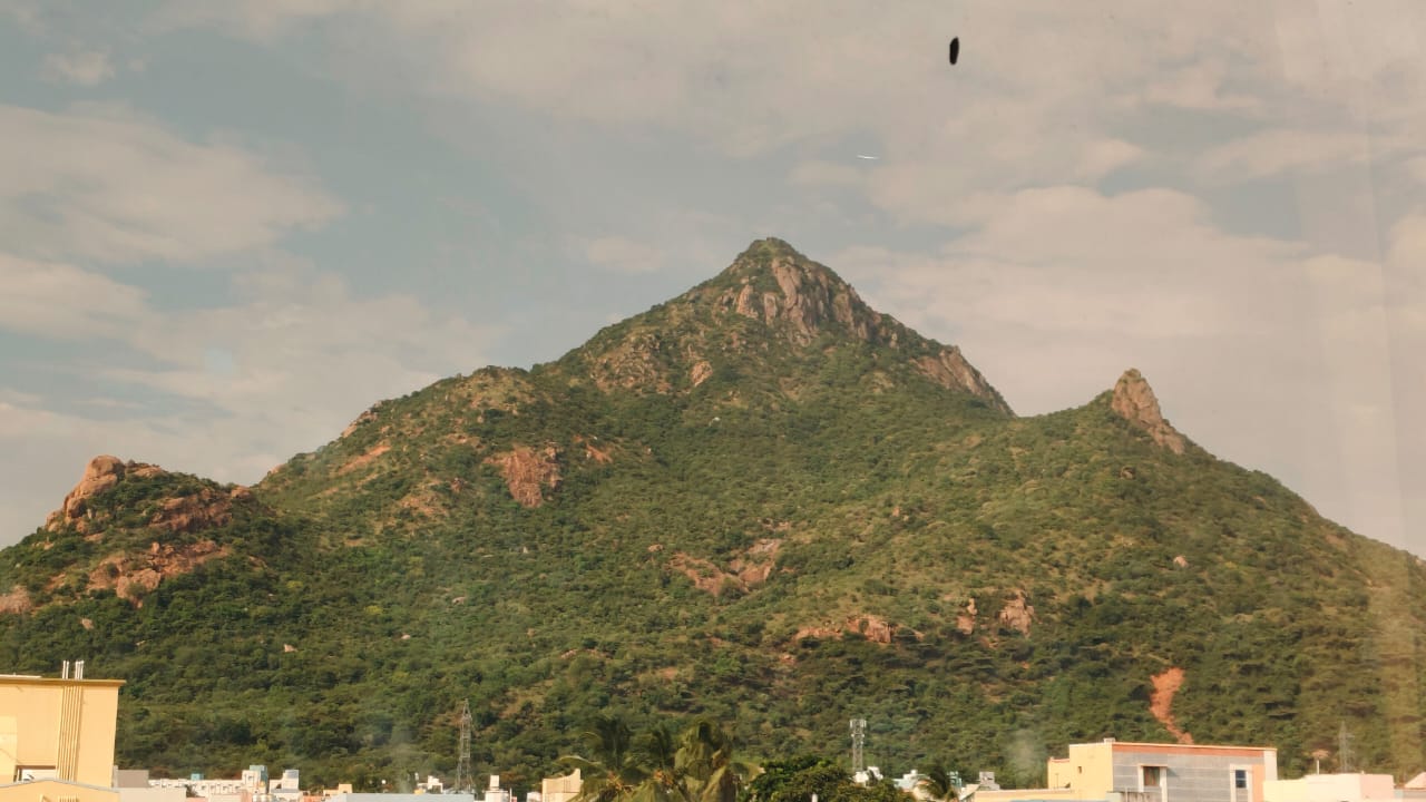 WhatsApp Image 2025-10-23 at 13.14.37 copy WhatsApp Image 2025-10-23 at 13.14.37 copy