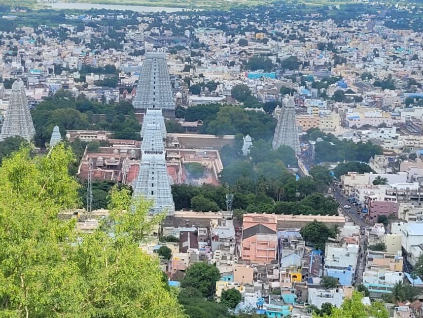 WhatsApp Image 2025-10-24 at 11.31.54