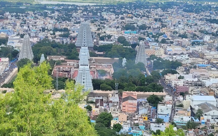 WhatsApp Image 2025-10-24 at 11.31.54 WhatsApp Image 2025-10-24 at 11.31.54