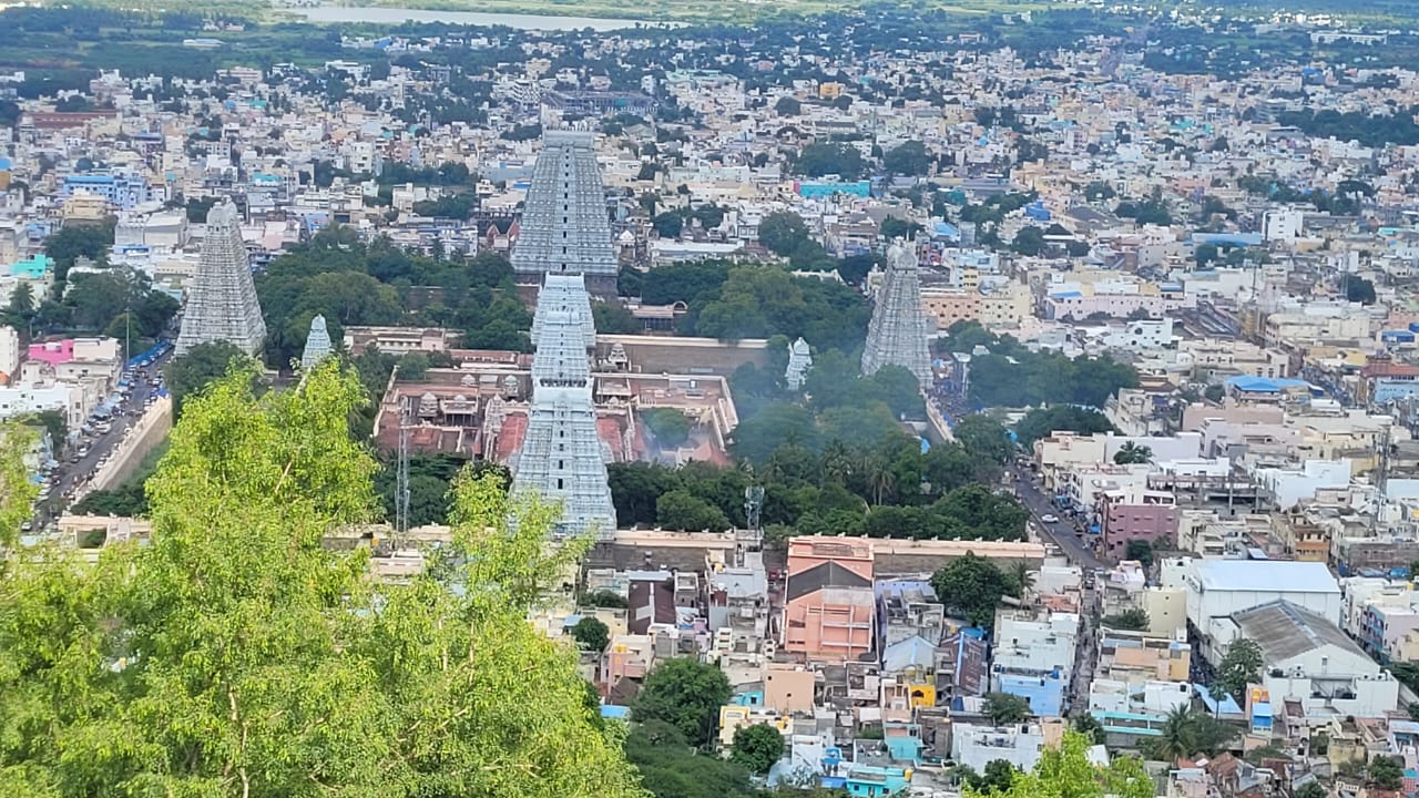 WhatsApp Image 2025-10-24 at 11.31.54